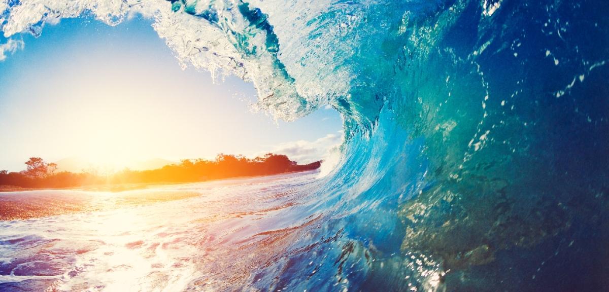 wave